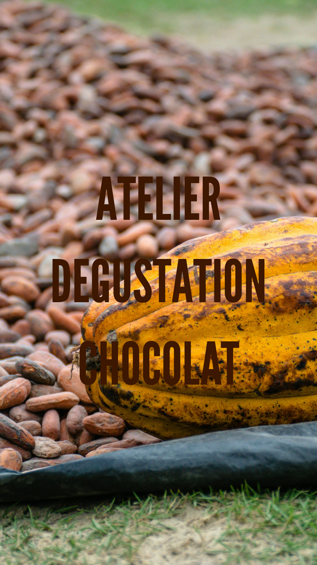 Atelier dégustation de chocolat