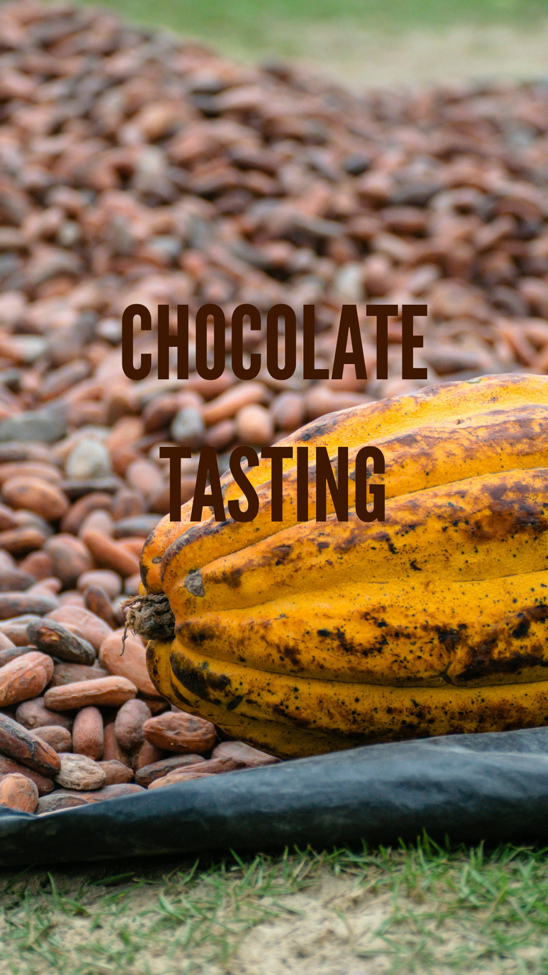 Chocolate tasting Cluizel